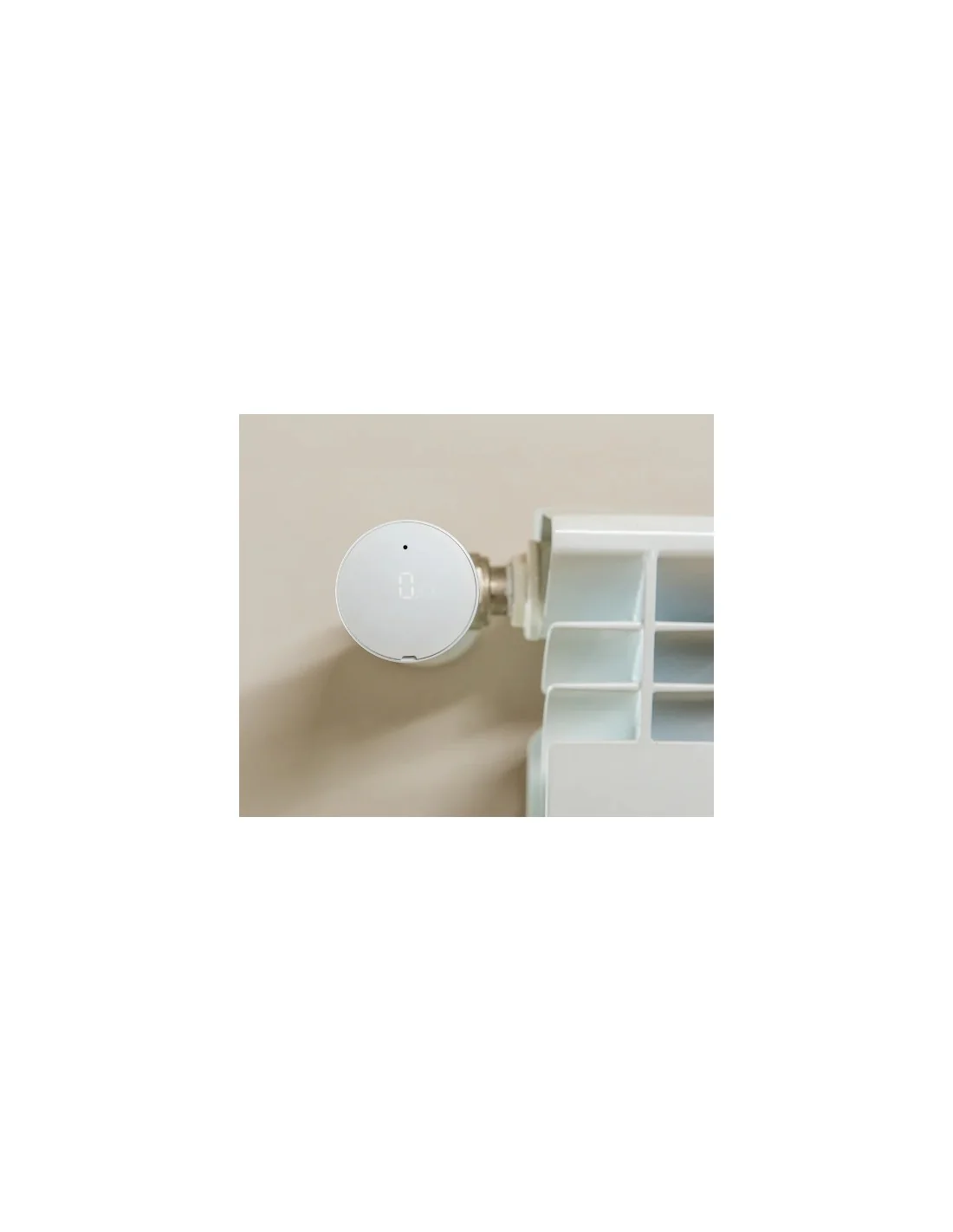Shelly BLU TRV- PACK 2 - Image 3